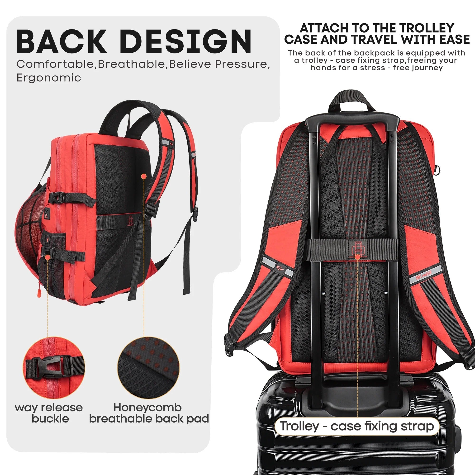 NEW YORK XPRESS B00391 Sports Waterproof Backpack with Ball Holder & Separate Shoe Bag
